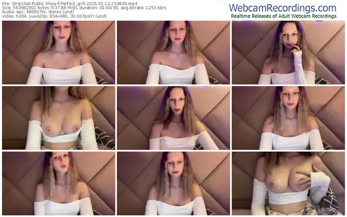 2025/01/12/stripchat-perfect_girll-15-48-36