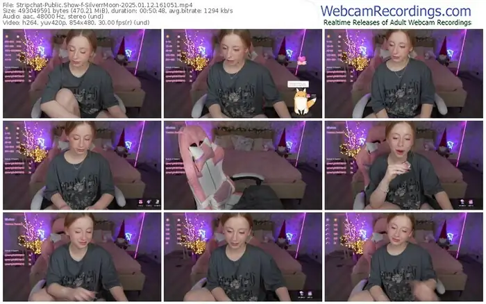 2025/01/12/stripchat-silverrmoon-16-10-51