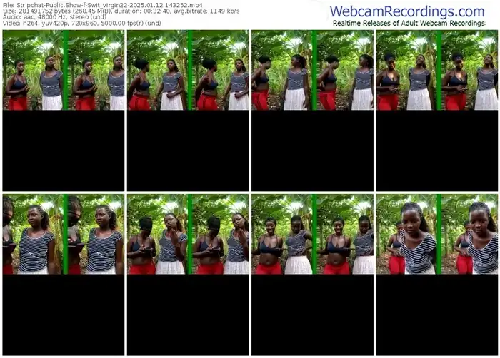 2025/01/12/stripchat-swit_virgin22-14-32-52