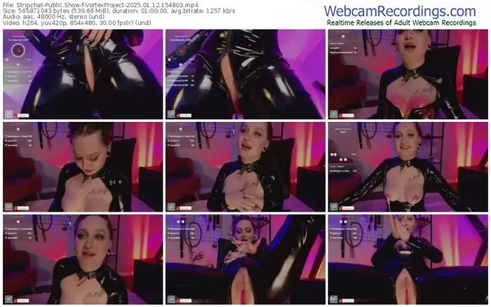 2025/01/12/stripchat-vortexproject-15-48-03