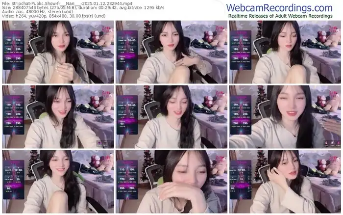 2025/01/12/stripchat-___nari___-23-29-44