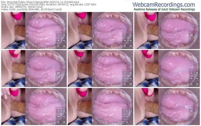 2025/01/12/stripchat-danigirl866-21-54-40