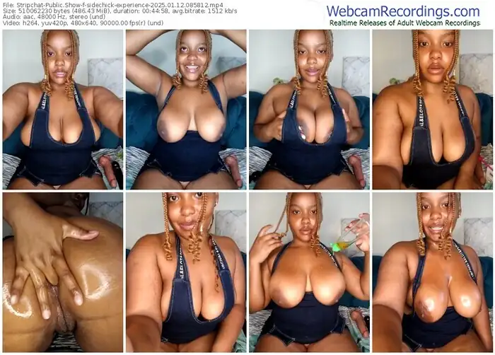 2025/01/12/stripchat-sidechick-experience-08-58-12