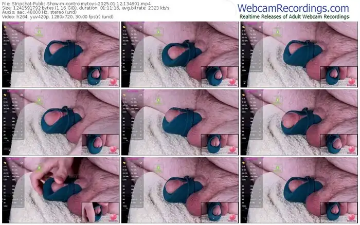 2025/01/12/stripchat-controlmytoys-13-46-01