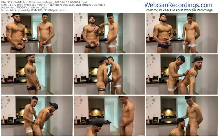 2025/01/12/stripchat-zoneboys_-00-08-24