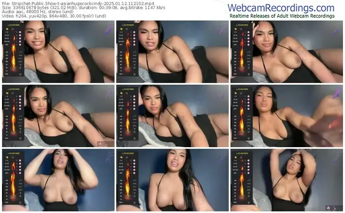 2025/01/12/stripchat-asianhugecockcindy-11-21-02