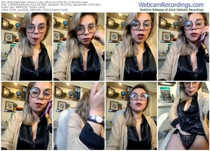 2025/01/13/stripchat-cata_office-12-20-19-01