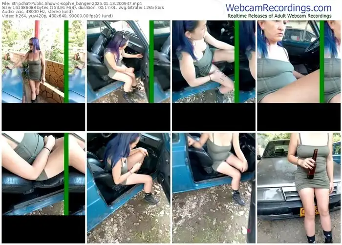 2025/01/13/stripchat-sophie_banger-20-09-47