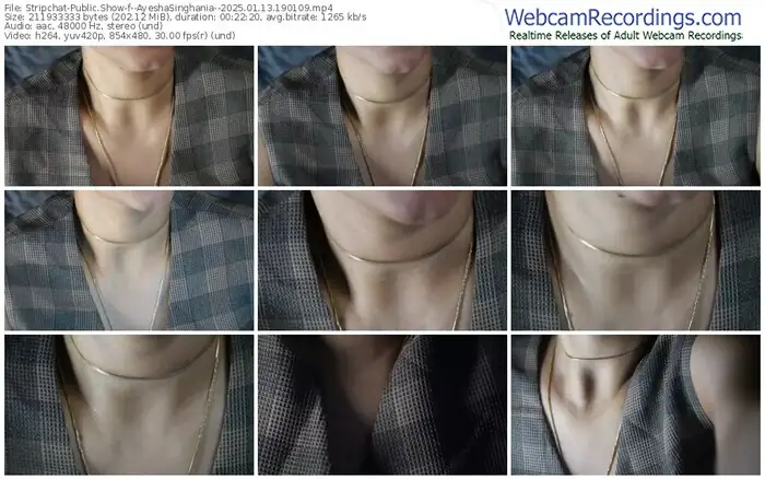 2025/01/13/stripchat--ayeshasinghania--19-01-09