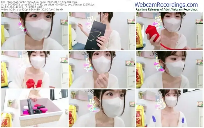 2025/01/13/stripchat--minami--03-47-04