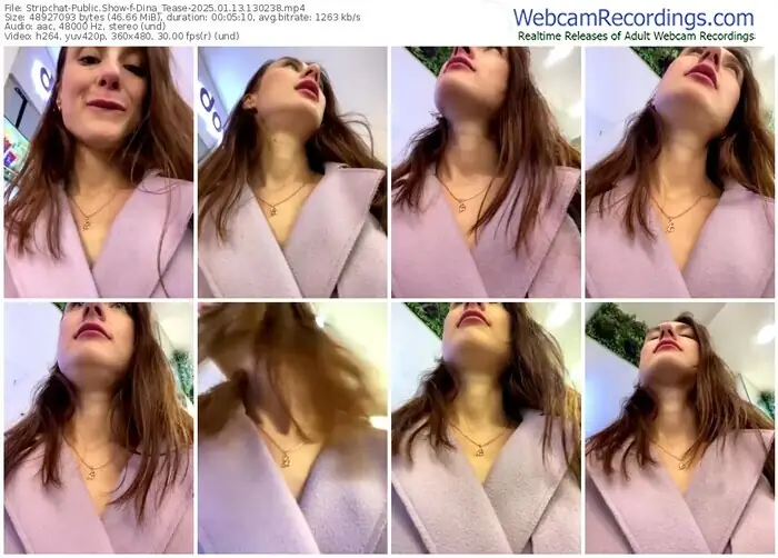 2025/01/13/stripchat-dina_tease-13-02-38
