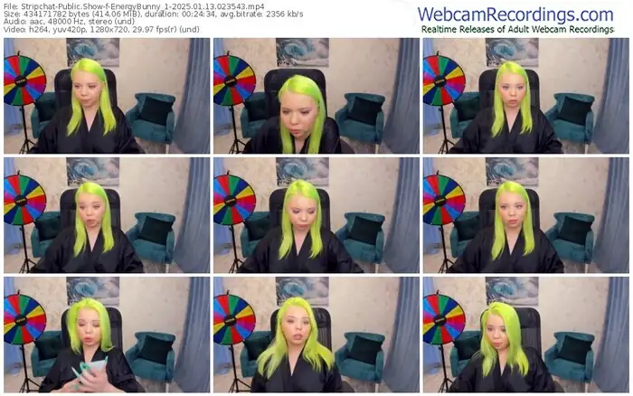 2025/01/13/stripchat-energybunny_1-02-35-43