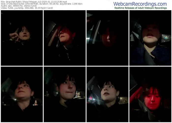 2025/01/13/stripchat-megan_lu2-01-15-38
