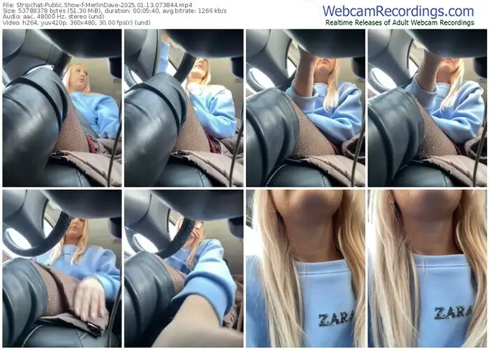 2025/01/13/stripchat-merlindave-07-38-44