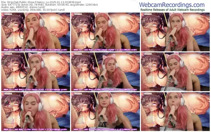 2025/01/13/stripchat-nancy_lu-20-28-38