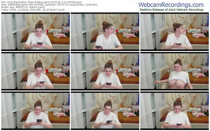 2025/01/13/stripchat-nika_tailor-13-25-08