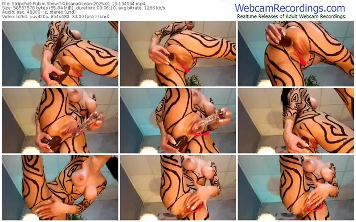 2025/01/13/stripchat-oksanaocean-13-40-34