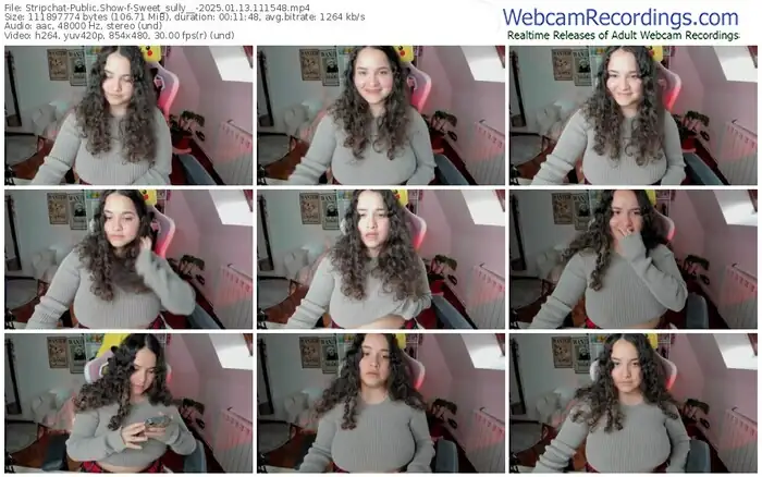2025/01/13/stripchat-sweet_sully__-11-15-48