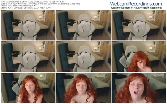 2025/01/13/stripchat-zoe_bang-01-57-47