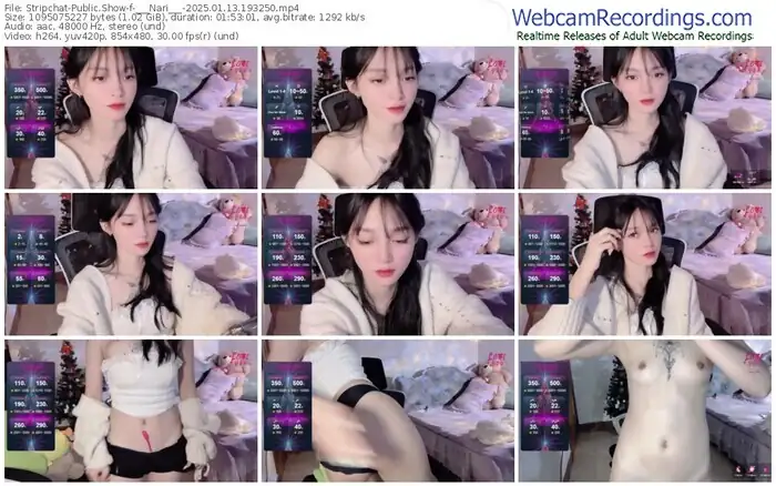 2025/01/13/stripchat-___nari___-19-32-50