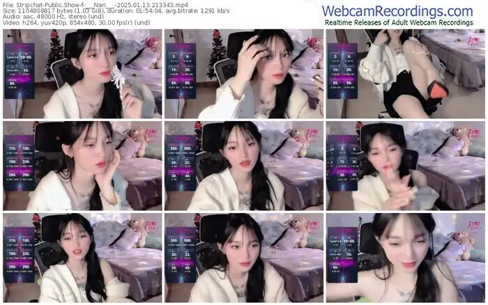 2025/01/13/stripchat-___nari___-21-33-43
