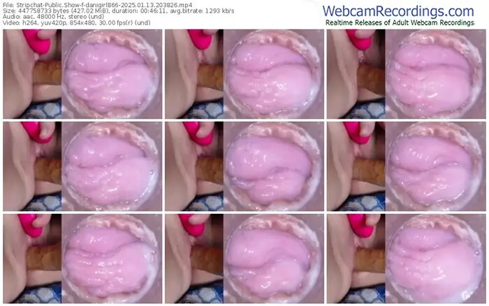 2025/01/13/stripchat-danigirl866-20-38-26