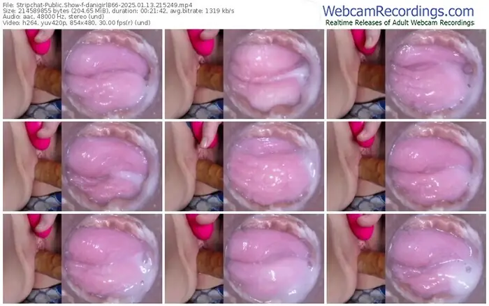 2025/01/13/stripchat-danigirl866-21-52-49