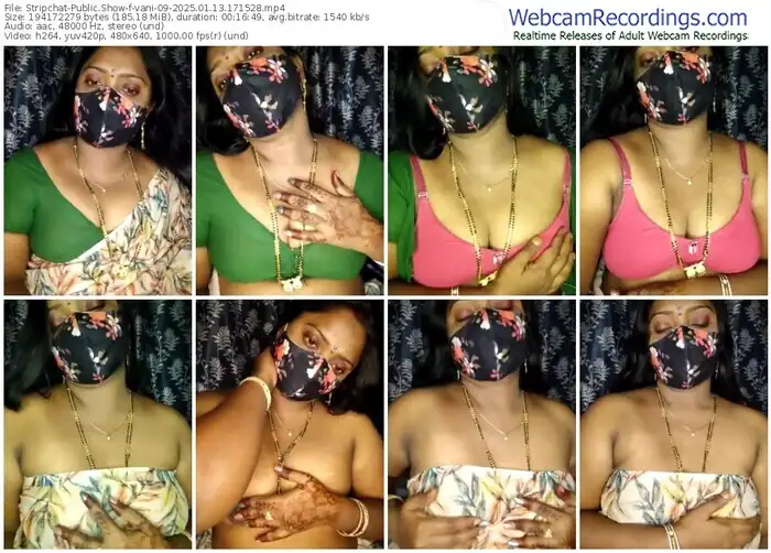 2025/01/13/stripchat-vani-09-17-15-28