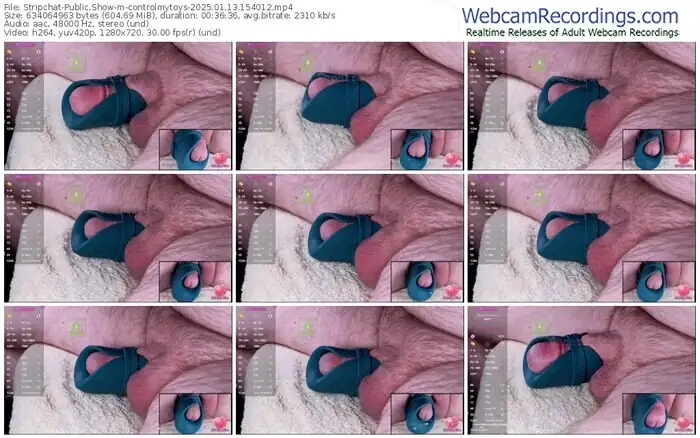 2025/01/13/stripchat-controlmytoys-15-40-12