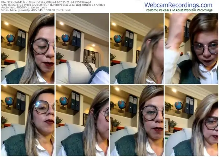 2025/01/14/stripchat-cata_office-12-15-59-36