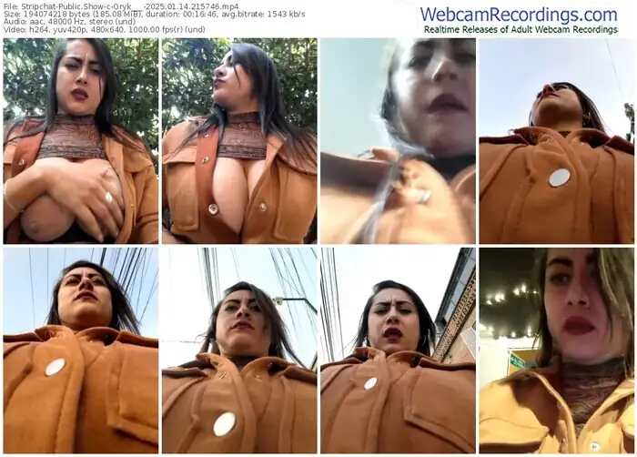 2025/01/14/stripchat-oryk___-21-57-46