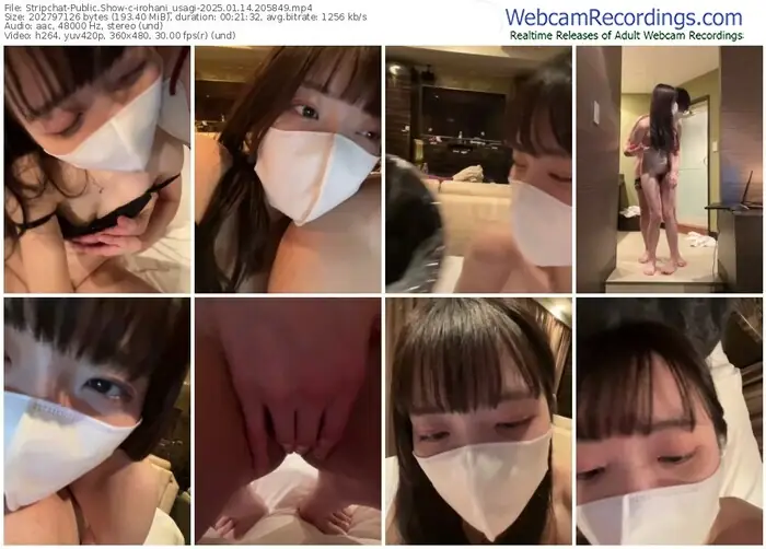 2025/01/14/stripchat-irohani_usagi-20-58-49
