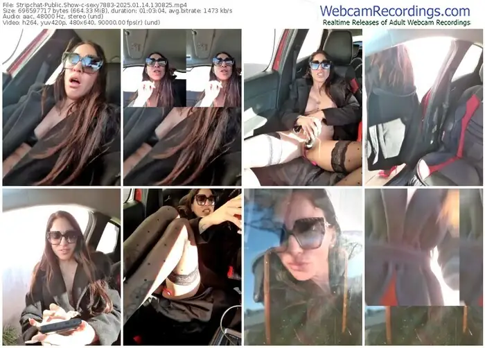2025/01/14/stripchat-sexy7883-13-08-25