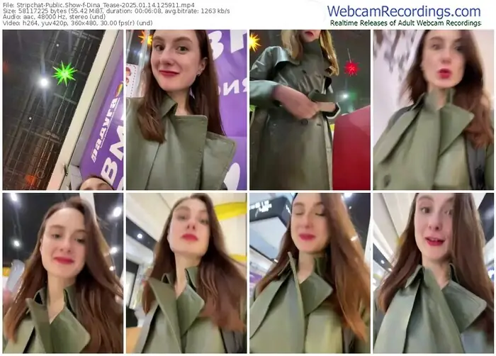 2025/01/14/stripchat-dina_tease-12-59-11