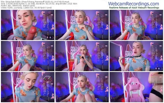 2025/01/14/stripchat-fiona_powerpuff-07-41-03
