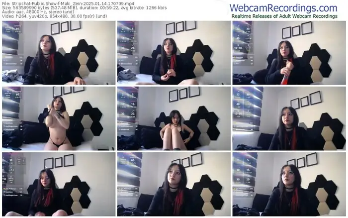 2025/01/14/stripchat-maki_zein-17-07-39