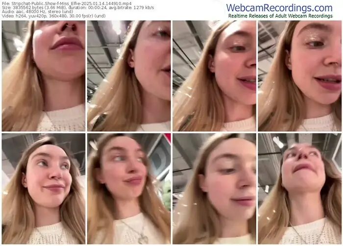 2025/01/14/stripchat-miss_elfie-14-49-10