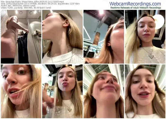 2025/01/14/stripchat-miss_elfie-17-20-33