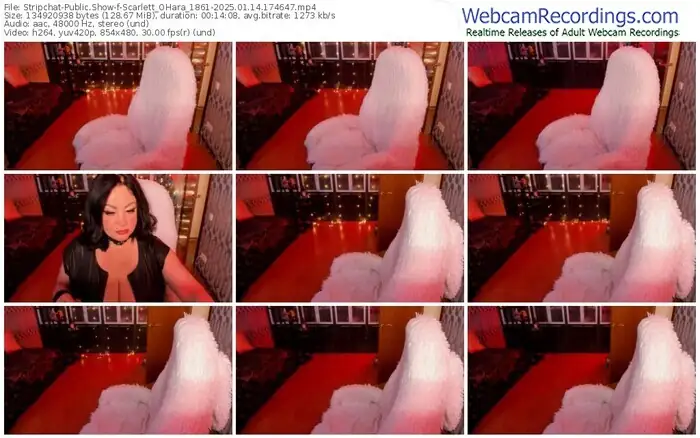 2025/01/14/stripchat-scarlett_ohara_1861-17-46-47