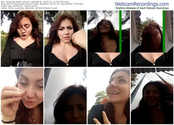 2025/01/14/stripchat-_redvelvet_-20-33-32