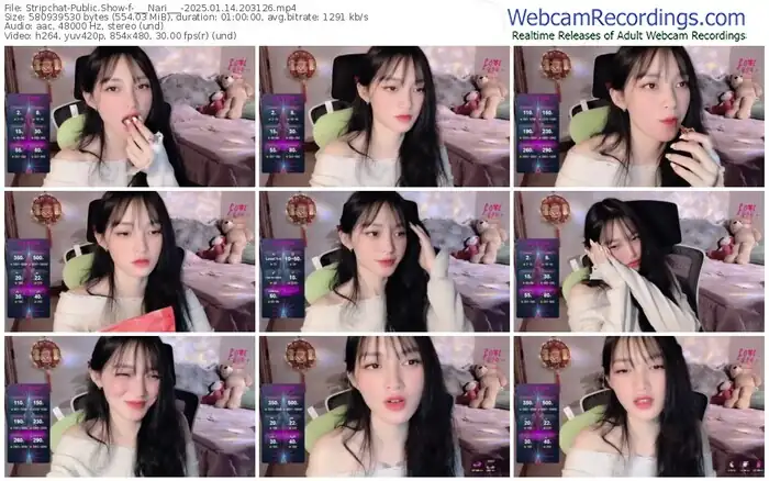 2025/01/14/stripchat-___nari___-20-31-26