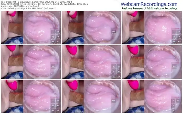 2025/01/14/stripchat-danigirl866-16-50-07