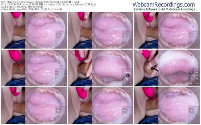 2025/01/14/stripchat-danigirl866-18-34-11