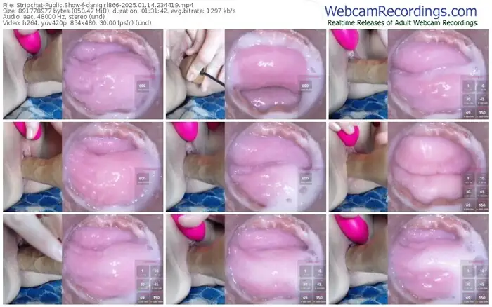 2025/01/14/stripchat-danigirl866-23-44-19