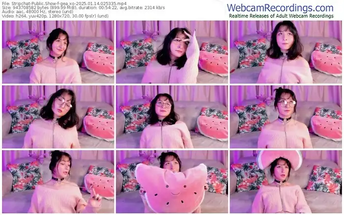 2025/01/14/stripchat-gea_xo-02-53-35