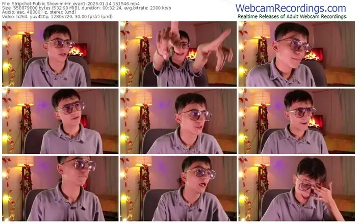 2025/01/14/stripchat-mr_evan1-15-15-46