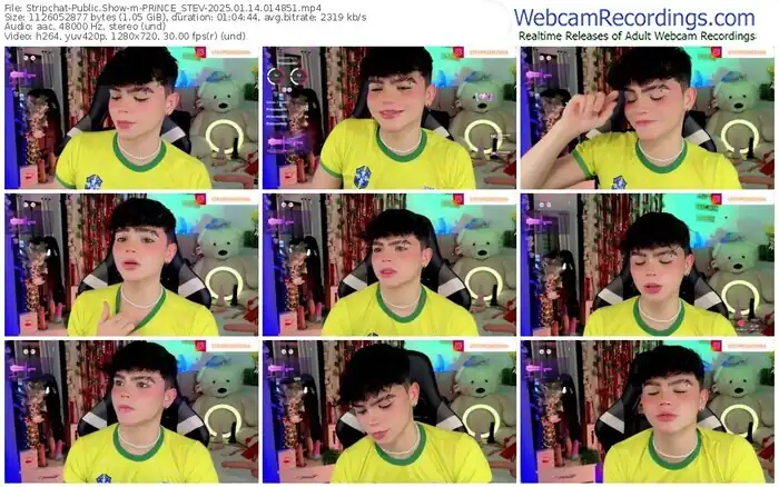 2025/01/14/stripchat-prince_stev-01-48-51