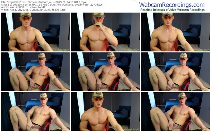 2025/01/14/stripchat-richard_mils-11-48-18