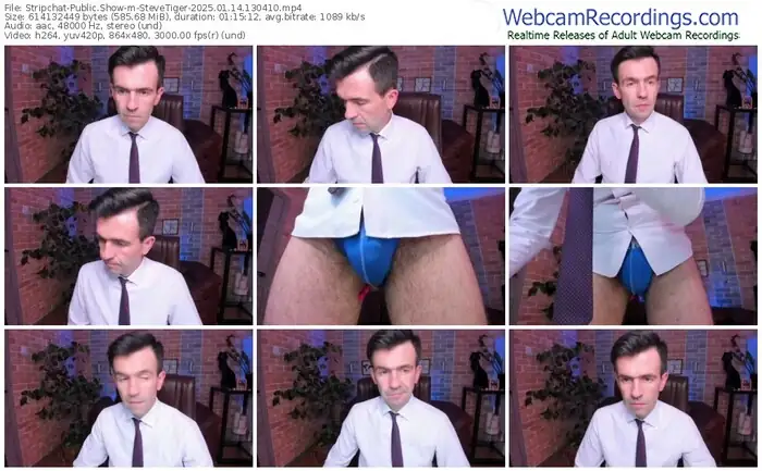 2025/01/14/stripchat-stevetiger-13-04-10