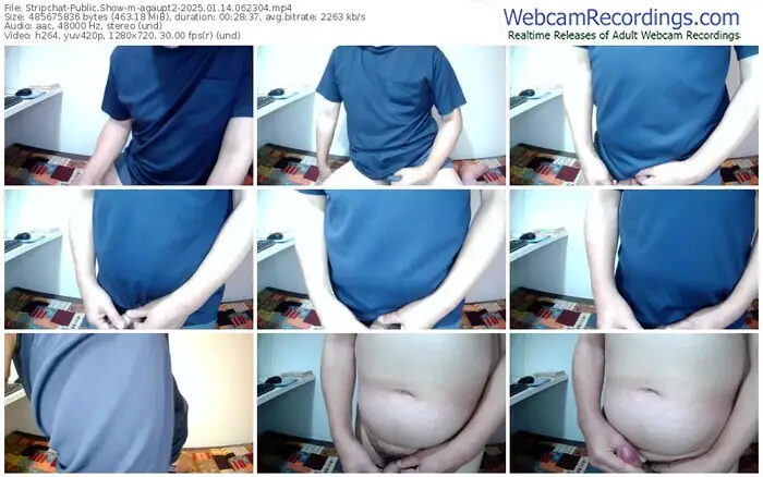 2025/01/14/stripchat-agaupt2-06-23-04